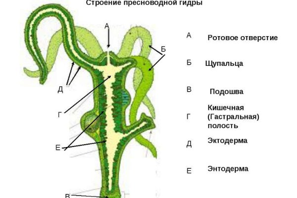 Kraken 15at сайт krakens15 at