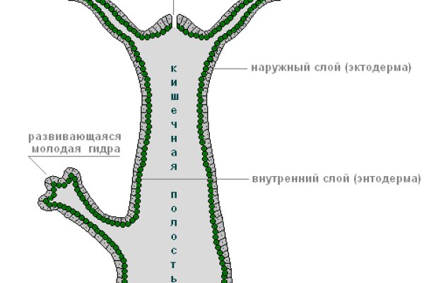 Как восстановить аккаунт в кракен